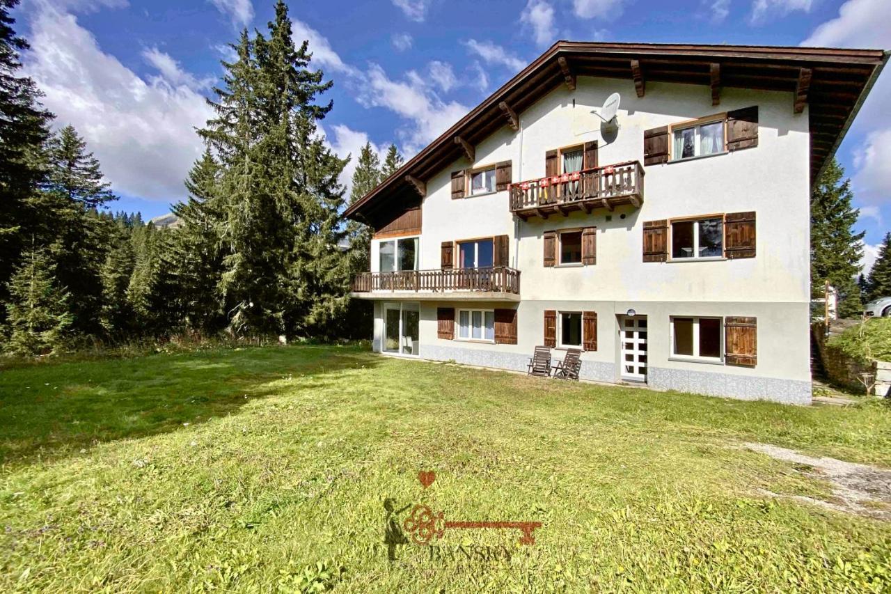 Chalet 5 Stars In San Bernardino, Ski Slopes And Hiking, Fireplace, 4 Snowtubes Free, Wi-Fi Free, For 8 Persons, Wonderful In All Seasons -By Easylife Swiss Kültér fotó